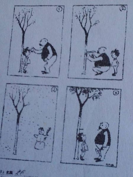 照片上的作品：在照片中的故事_650字