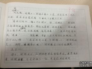 照片上的组成：旧照片的故事_550字