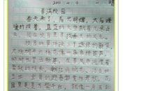 关于照片的作文：照片_300字