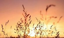 丢失的过往_900字