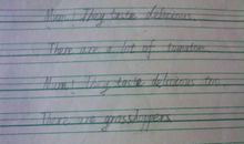 关于照片的作文：一张旧照片_700字