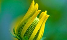 永远记忆的春天_700字