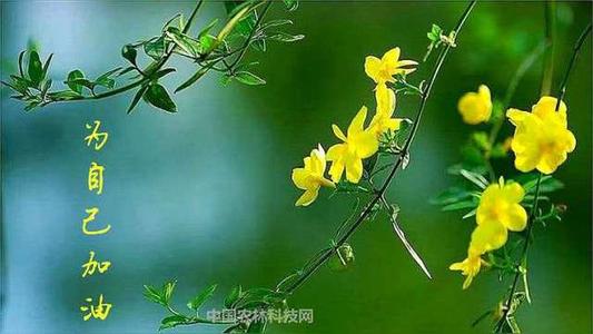 俺类坏习惯_300字