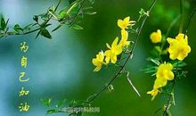 俺班坏习风_300字