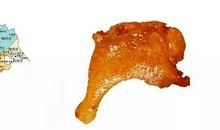 离群的小黑鸡_800字