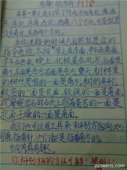 过程_400字