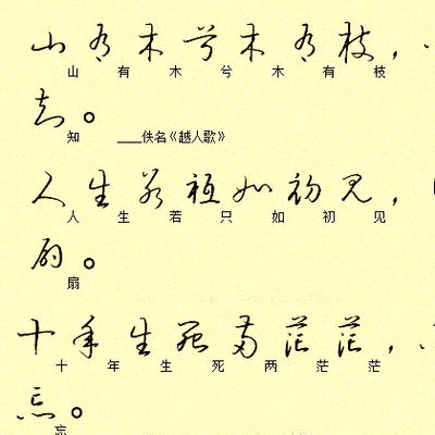 事实证明，我也非常虚伪。 _400字