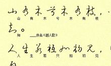 原来，我也很虚伪_400字