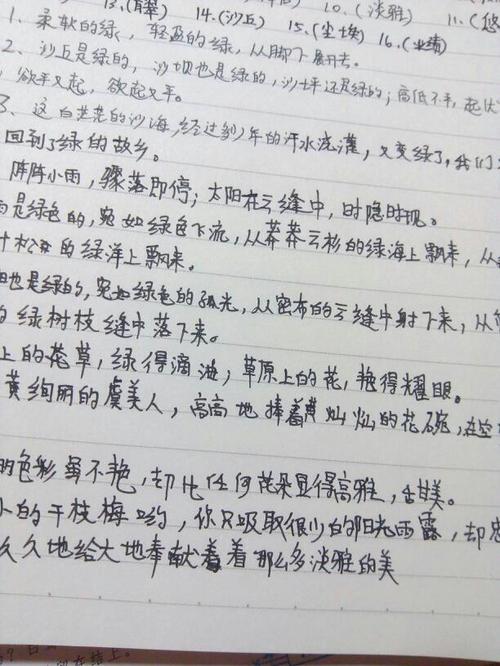 关于游戏的组成300字：初中冬季运动会_800字