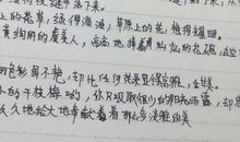 关于运动会的作文300字：初中生冬季运动会_800字