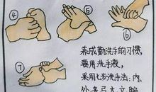 勤洗手的好习惯_250字