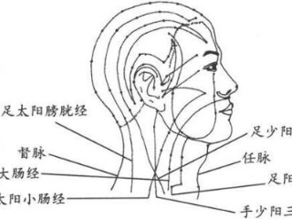 首先梳理_400字