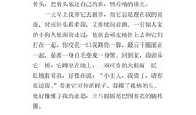 一生的喜爱_550字