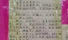 未来的世界_450字