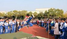 运动会中看我们的青春_550字