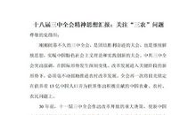 关于三农问题的思想汇报