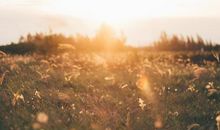 初三议论文：凌云志气，扶摇而上_800字