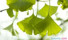 让自信的风吹拂心灵_800字