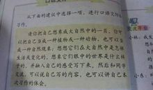 小草的哀悼会_550字