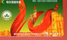 纪念澳门回归10周年_700字