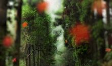 谈“自信”，成功的一道风景_650字