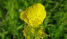 残缺的美丽_800字