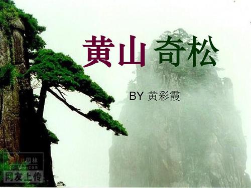 那么，黄山歌到底在哪里？这是它的精彩和自然的生长手势。