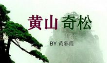 甜甜草周游世界黄山奇松_1000字