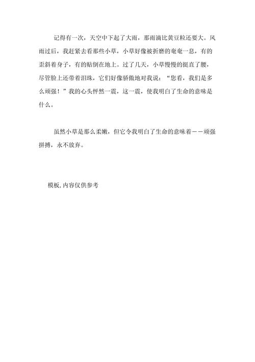 强烈的决定_400字