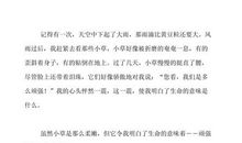 坚强的决定_400字