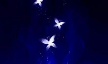 月舞云袖（落尘）_400字