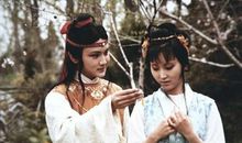 红楼记事，潇湘妃子_650字