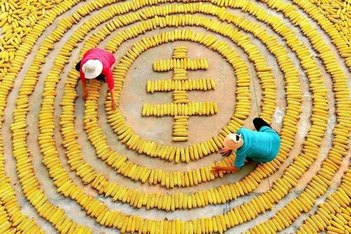 [日常天气]阳光？不要享受_150字