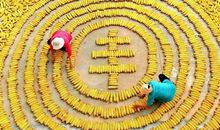 【每日天气】阳光?别样享受_150字