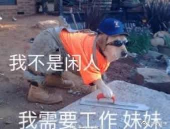 醉酒之夜_250字