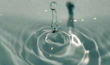 滴水之恩,涌泉相报_900字