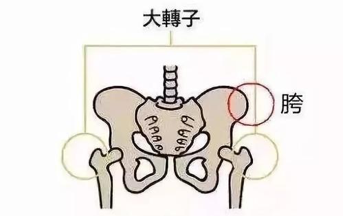 他们都是邪恶的_800字