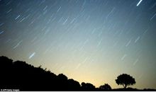 划过心中的那道流星_1000字