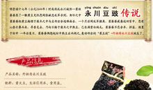 初三议论文：有影子陪伴的日子_550字