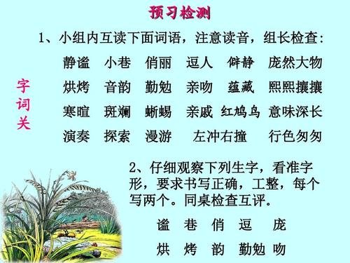 六年级：ZYT2000
