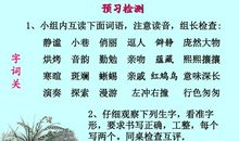 《草虫的村落》（续写）_450字