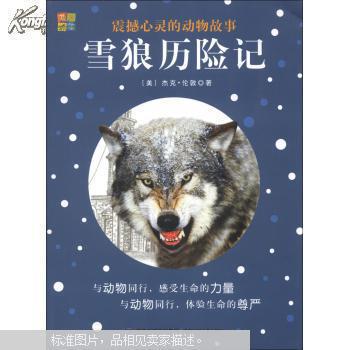 第二天早上，狼将找到Kré，因为同样的样子，Krury仍然没有伤害她。所以，狼对克鲁尔说：“孩子们！你应该了解真相！”之后，她拿出了以前的森林报纸，写了他母亲的真相。 Krüri知道真相后，他遗憾的是，由于他的痛苦，他应该伤害其他动物。他不应该责怪它。他想振作起来，对狼大家伙说：“谢谢你让我知道真相，请帮我为其他动物道歉！”狼转回小约，米mi和芬可以解释结果，他们是很高兴。所以小赵邀请狼去森林，狼还回到了他们身边。