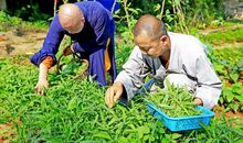 修心重于饰面_200字