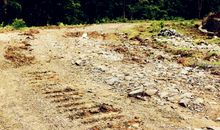 艰难的道路_1000字