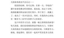 语文从我身边轻轻走过_500字