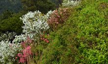 生活令人陶醉_500字