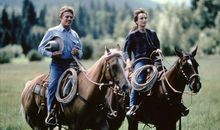 抚慰心灵的好药_350字