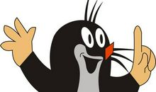 关于命运的作文：气球的命运_900字