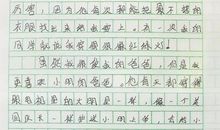 关于照片的作文：照片中的女孩_1200字