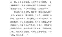 关于照片的作文：照片的记忆_600字